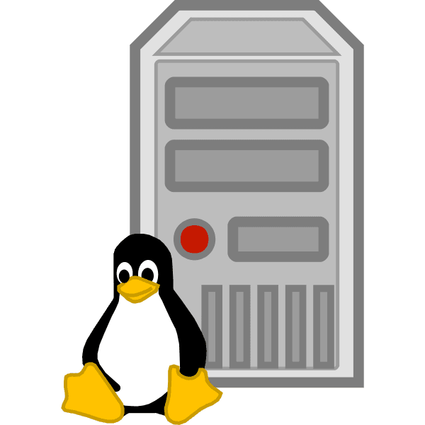 A Linux server, the host a Commtrac Messaging node is deployed on
